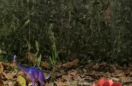 Парк из доба јуре