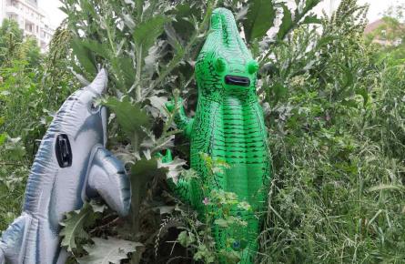 Животињско царство крај габровачке реке